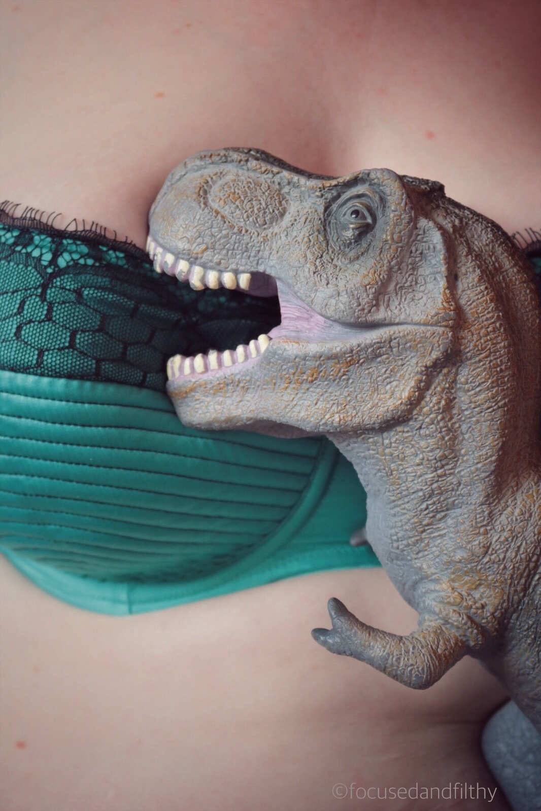Colour photograph of a T-Rex toy trying to bite at the woman’s top of turquoise bra