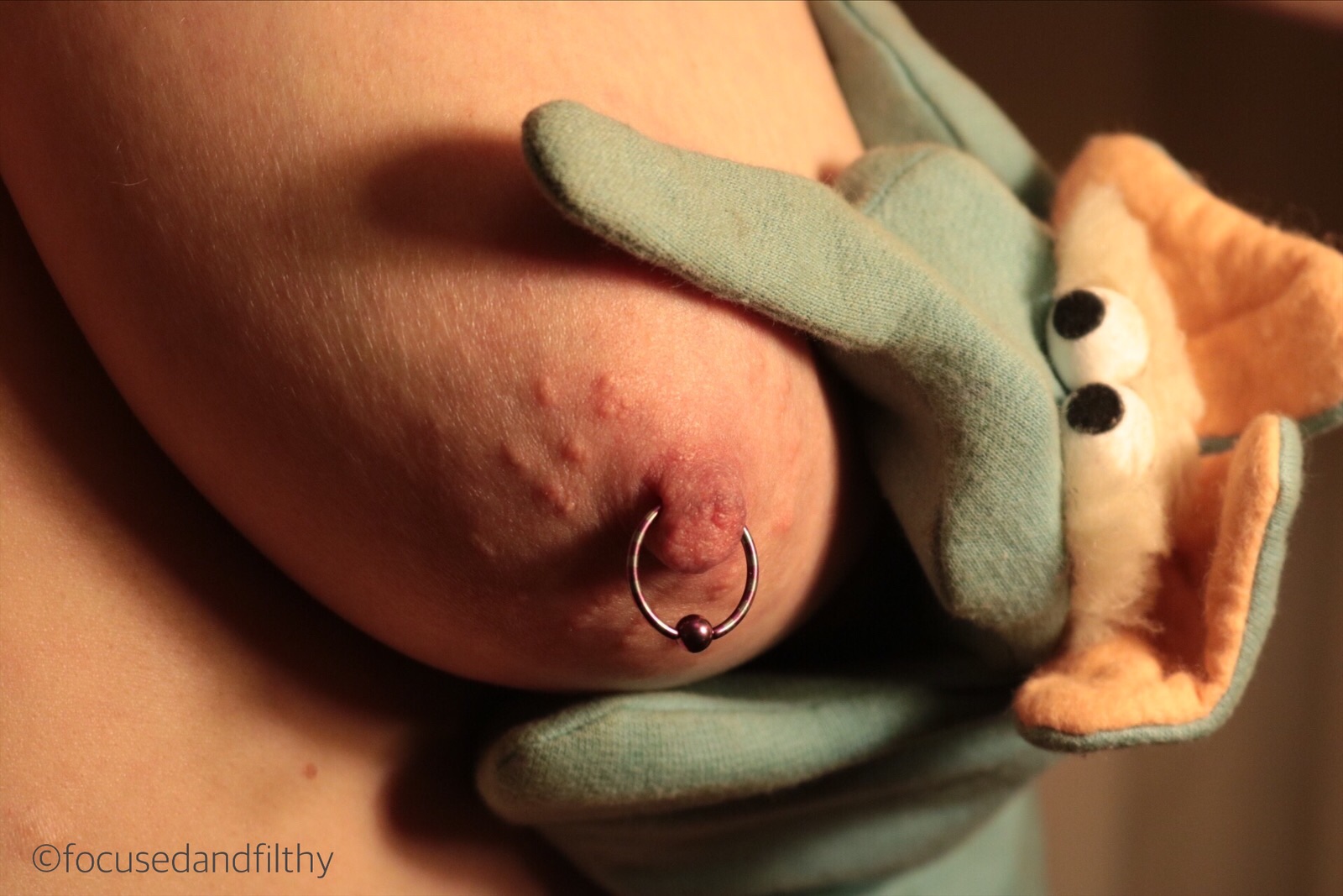 Colour close up photograph of a naked left breast with a pink nipple ring in place and an elephant glove puppet gripping the breast and looking at the jewellery