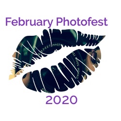 FebPhotoFest logo of a colourful lip print 