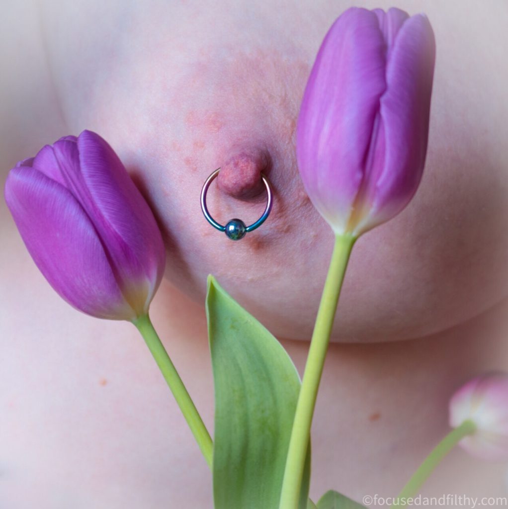Close up colour photographs of a naked left breast behind two purple tulips   The nipple has a rainbow coloured nipple ring through it  