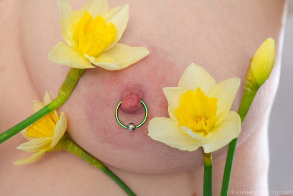 Close up colour photograph of a naked breast with a few open yellow daffodils around the nipple which has a green nipple ring through it  