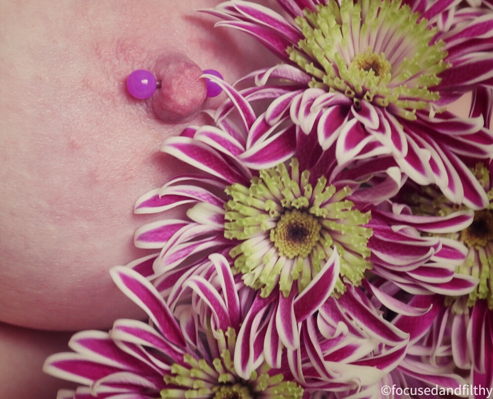 Close up colour photograph of a left nipple surrounded by purple flowers  the nipple has a purple nipple bar in 