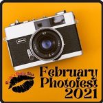 FebPhotoFest logo with the words next to an image of an old camera on a mustard yellow background 