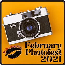 February PhotoFest logo of an old camera on a mustard yellow background 