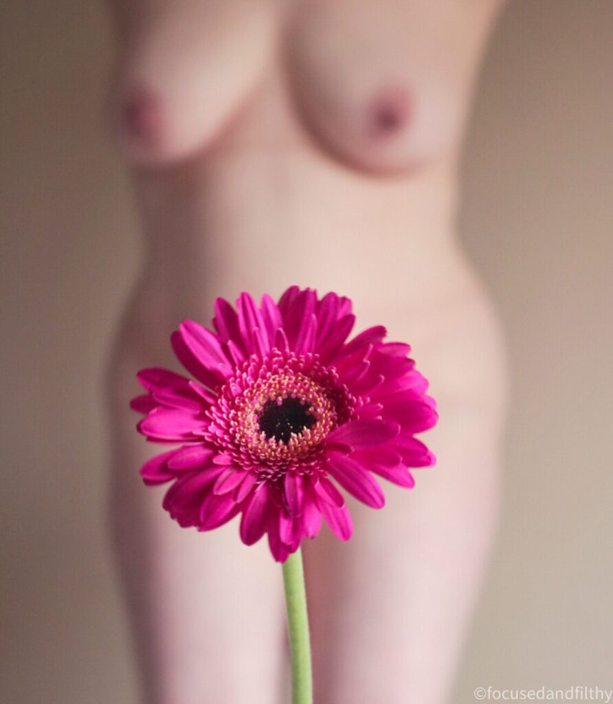 Colour photograph of a pink flower and behind and out of focus is a naked woman’s torso  the pink flower is covering anything in the pubic area 