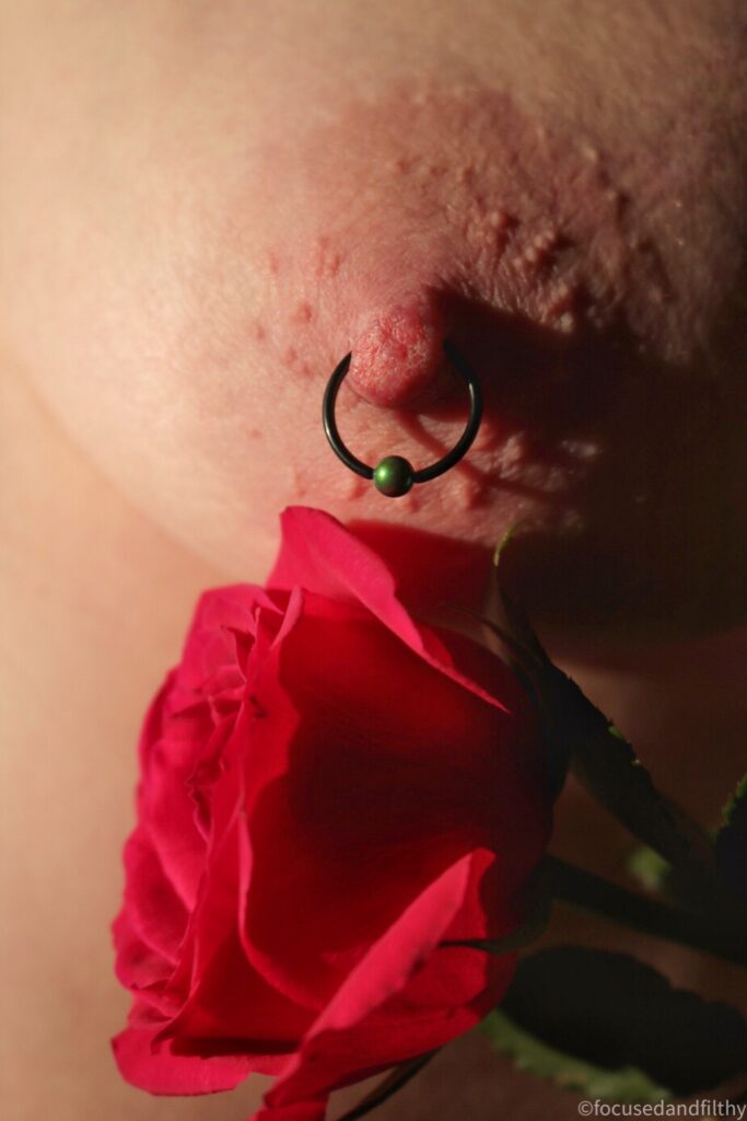 Close up colour photograph  of a naked nipple with a large black nipple ring in with a green ball closer and a red rose held beneath 