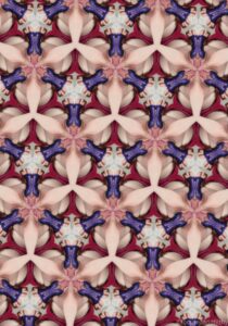 Colour kaleidoscopic image of a repeated honeycomb pattern made up of a photograph of a purple dildo and cunt 
