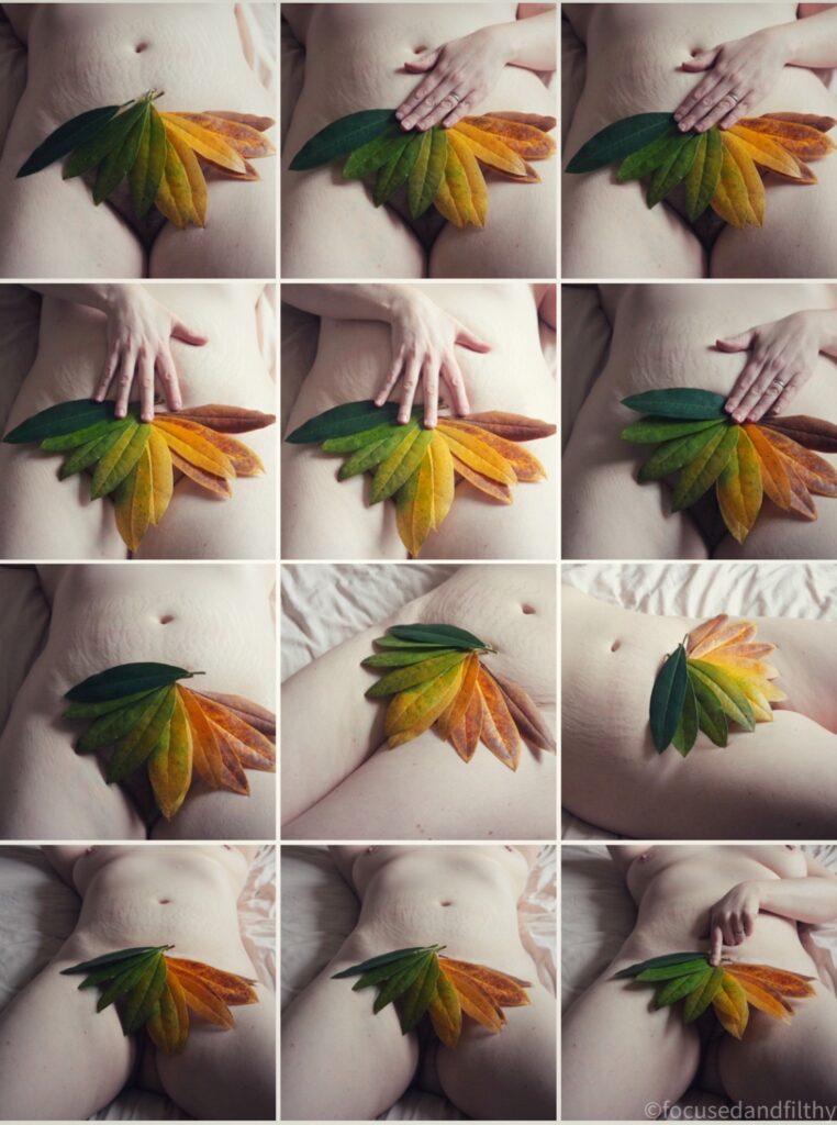 Collage of 12 colour photographs showing the middle part of a naked woman with a fan of leaves over her nether regions  and just lots of different poses  
