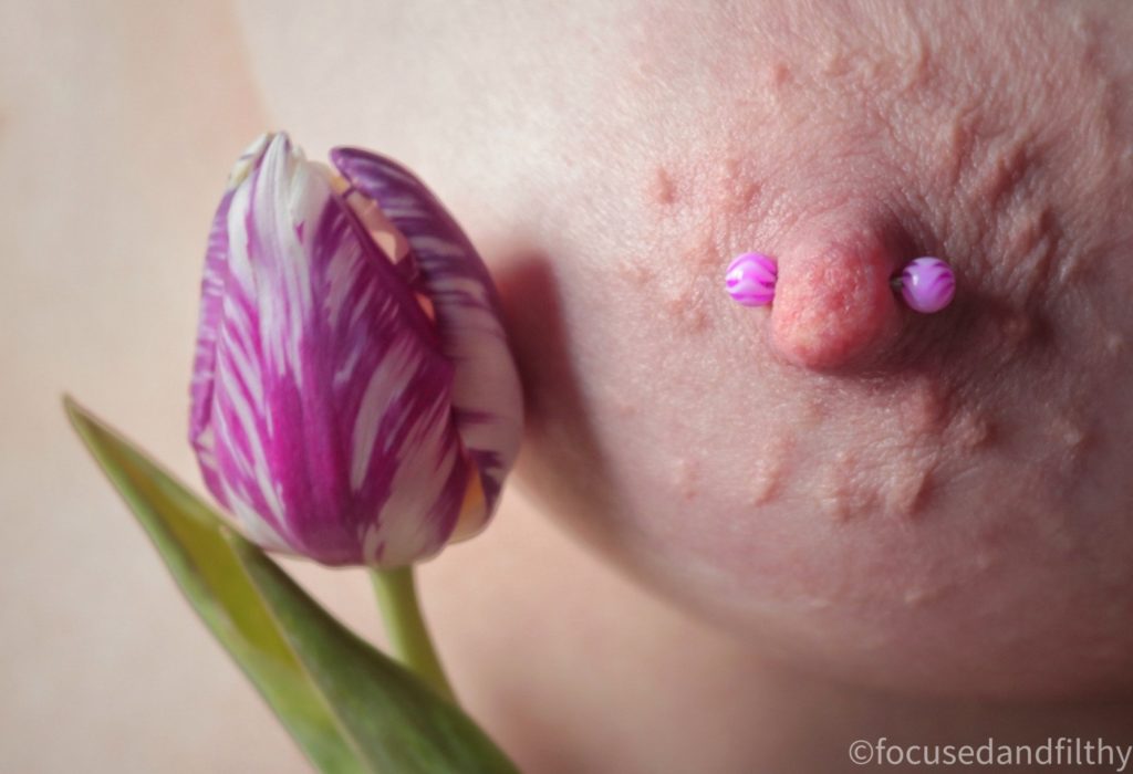 Close up colour photograph of a naked left female breast. There is a purple and white tulip held near it and the pattern is matched by a purple nipple bar that has wavy lines in it. 