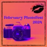 February PhotoFest logo with the words in a reddish square alongside a picture of a camera. 