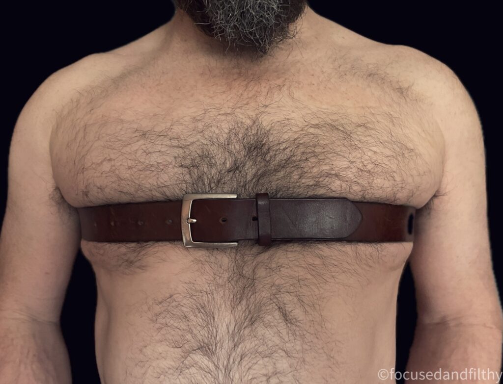 A close up colour photograph of a man’s hairy chest with a brown leather belt tied around the widest part covering his nipples but accentuating his large pecks and strong arms and shoulders. 