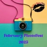 February PhotoFest logo with the words and an image of a camera over four colourful squares 