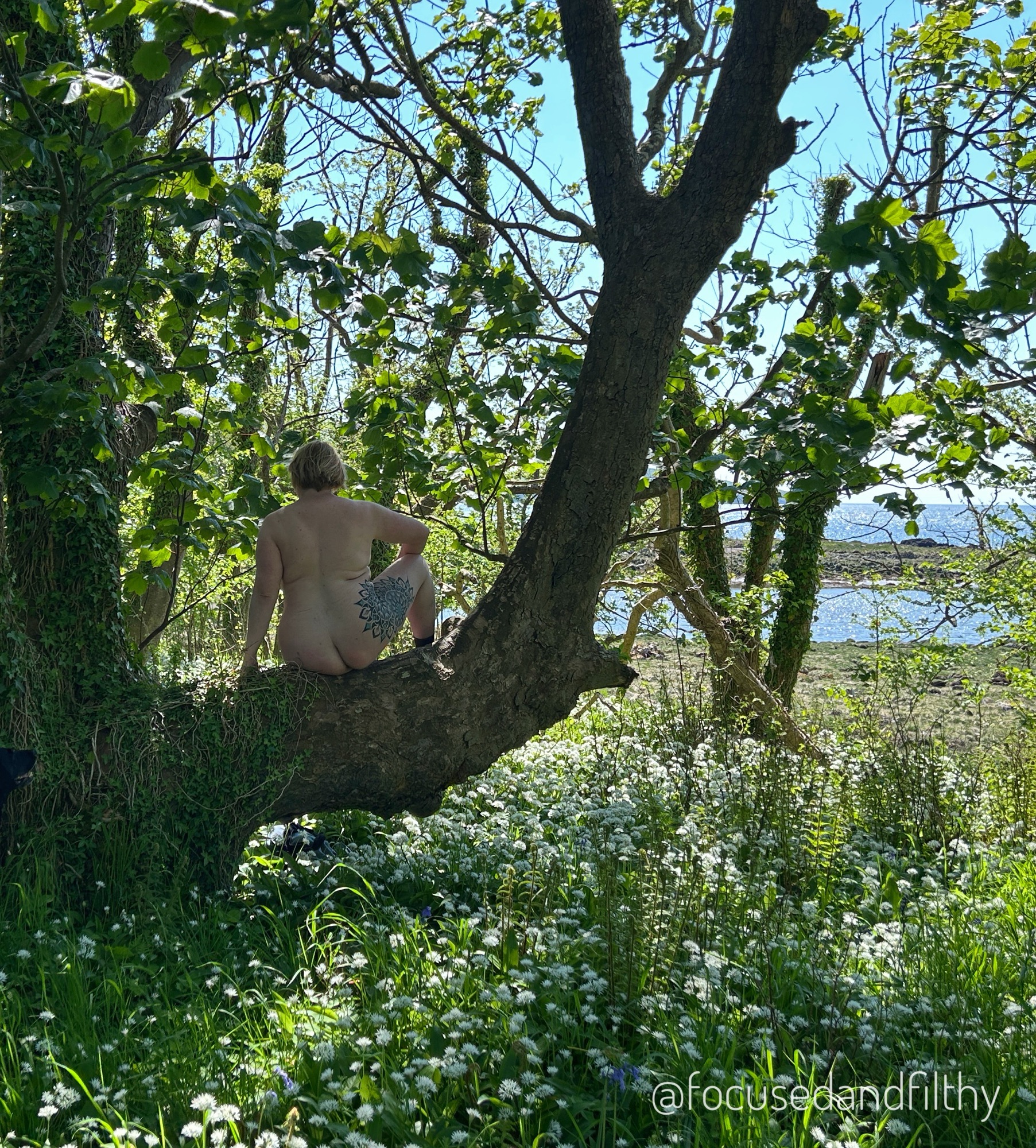 Seas and Trees