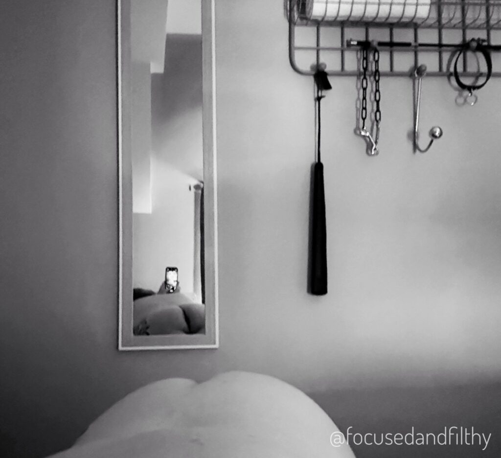 Black and white photo taken over my shoulder of my bare arse reflected in a long mirror next to the metal rack with the sex toys hanging from it.